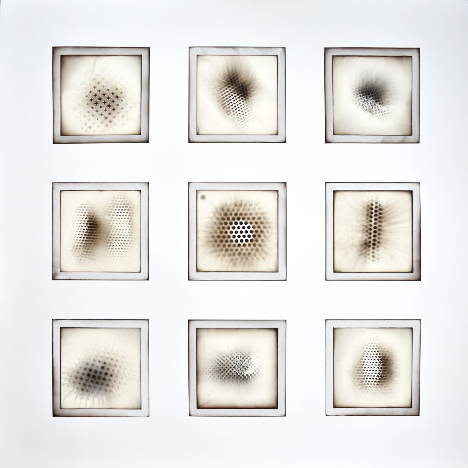 Rachael Nee, Whispers I