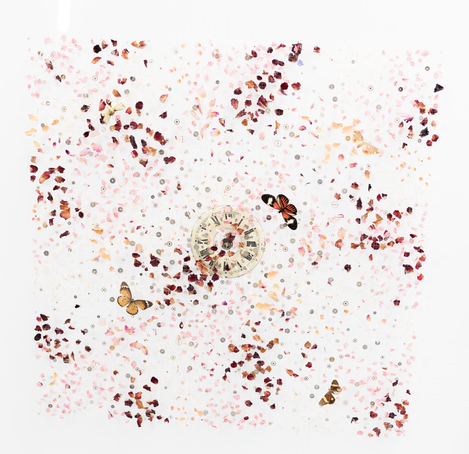 Anna Masters, Summertime