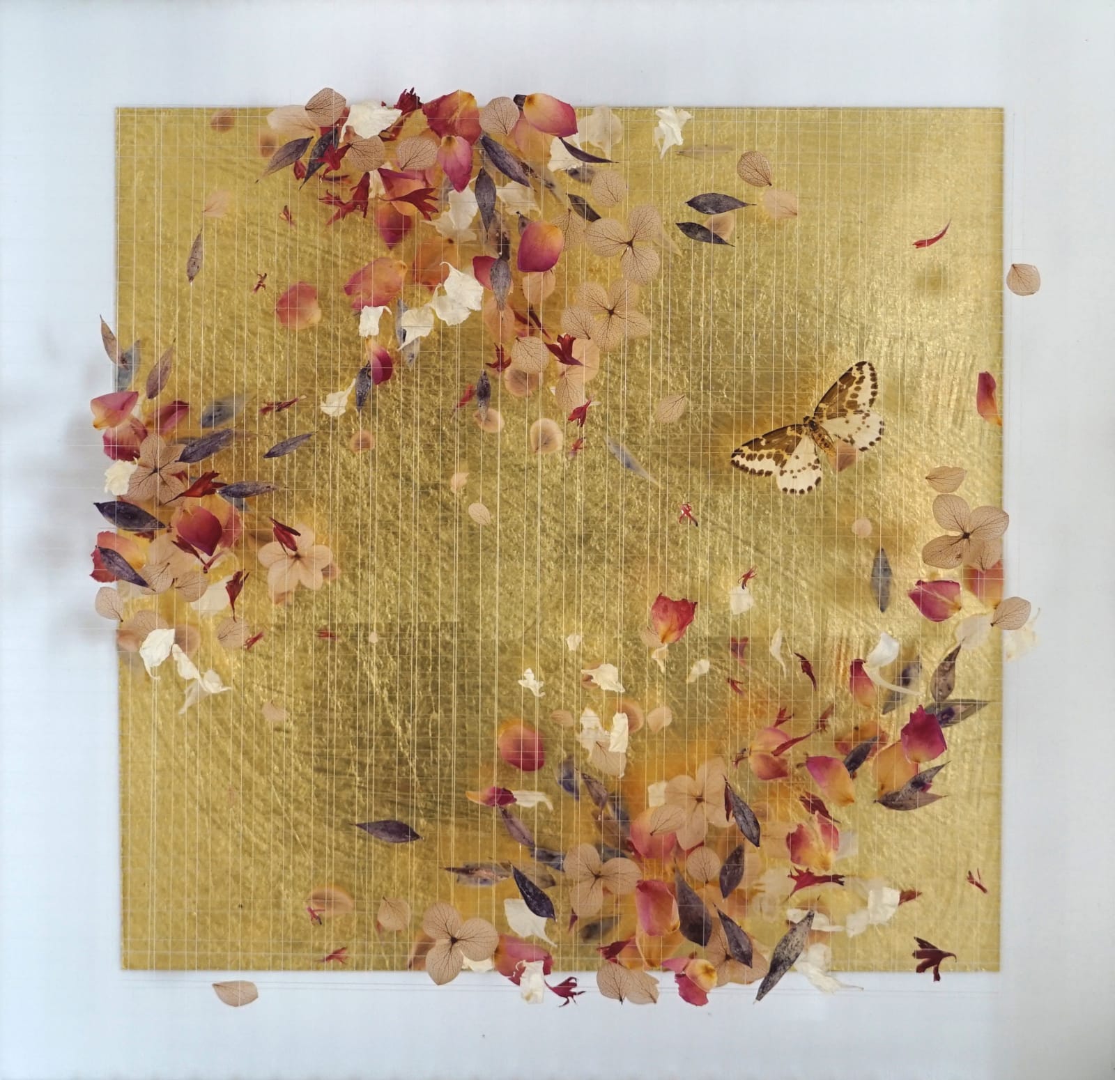 Anna Masters, Disappearing Suns 1