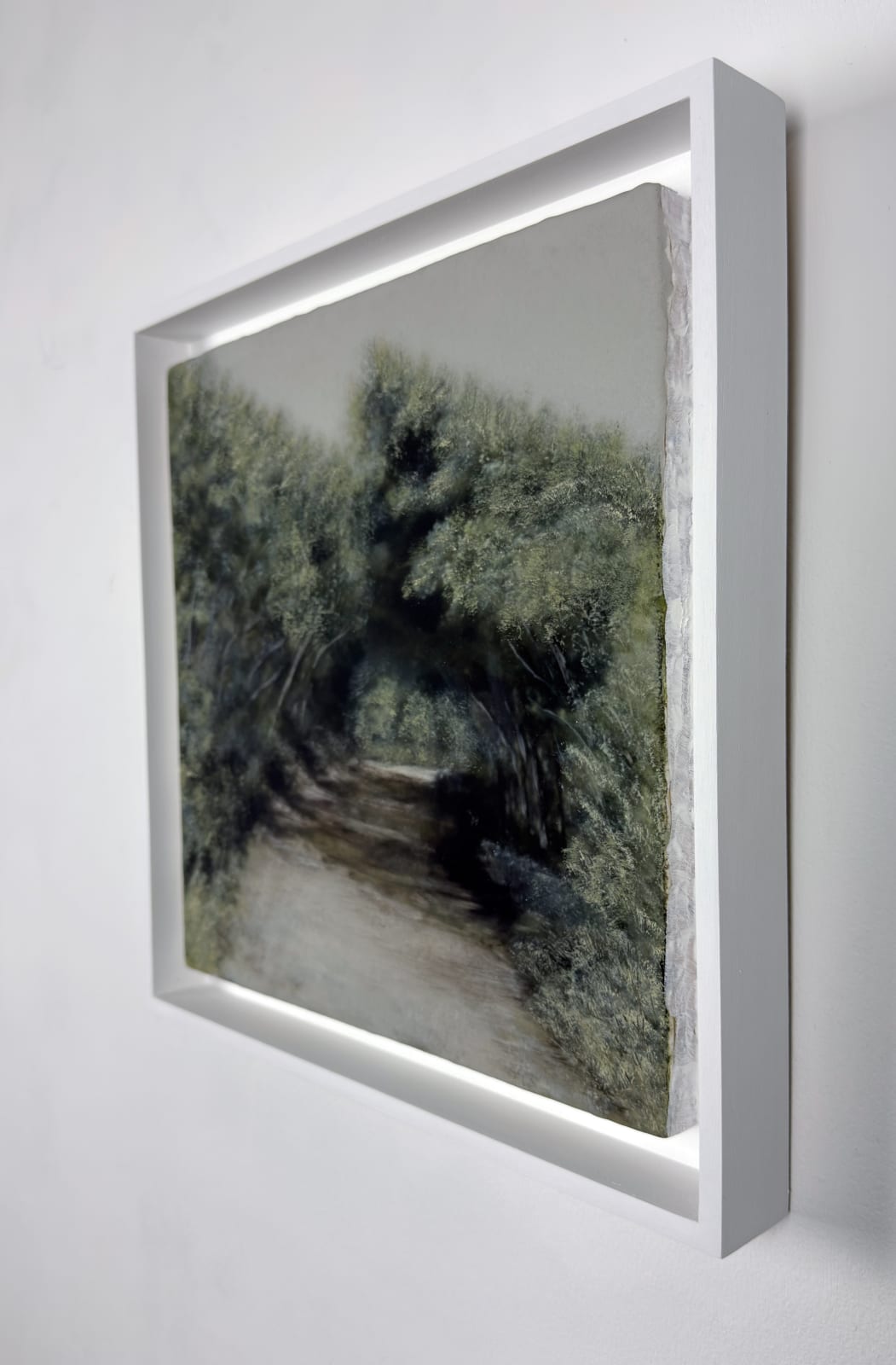 Anna Boss, Light Between Trees