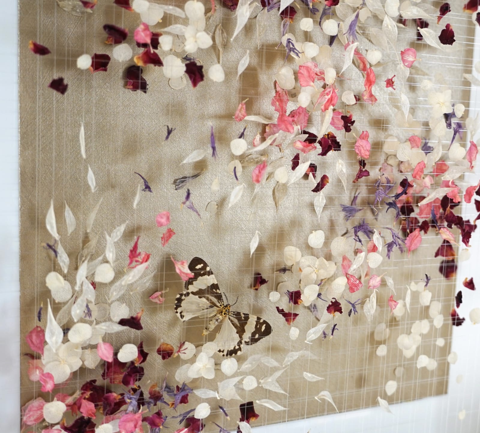 Anna Masters, Disappearing Suns 3