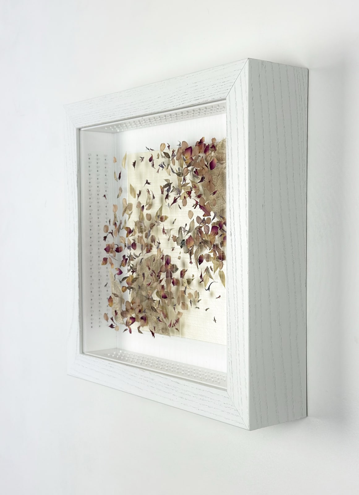 Anna Masters, Disappearing Suns 8