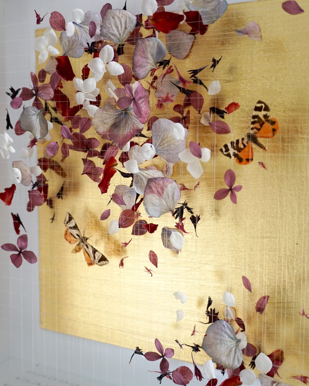 Anna Masters, Disappearing Suns 10