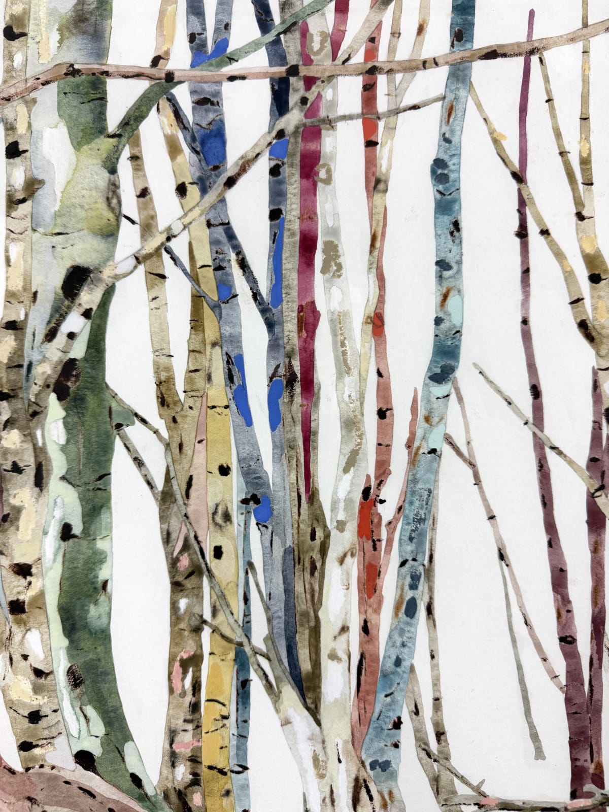 Kate Evans, Entangled