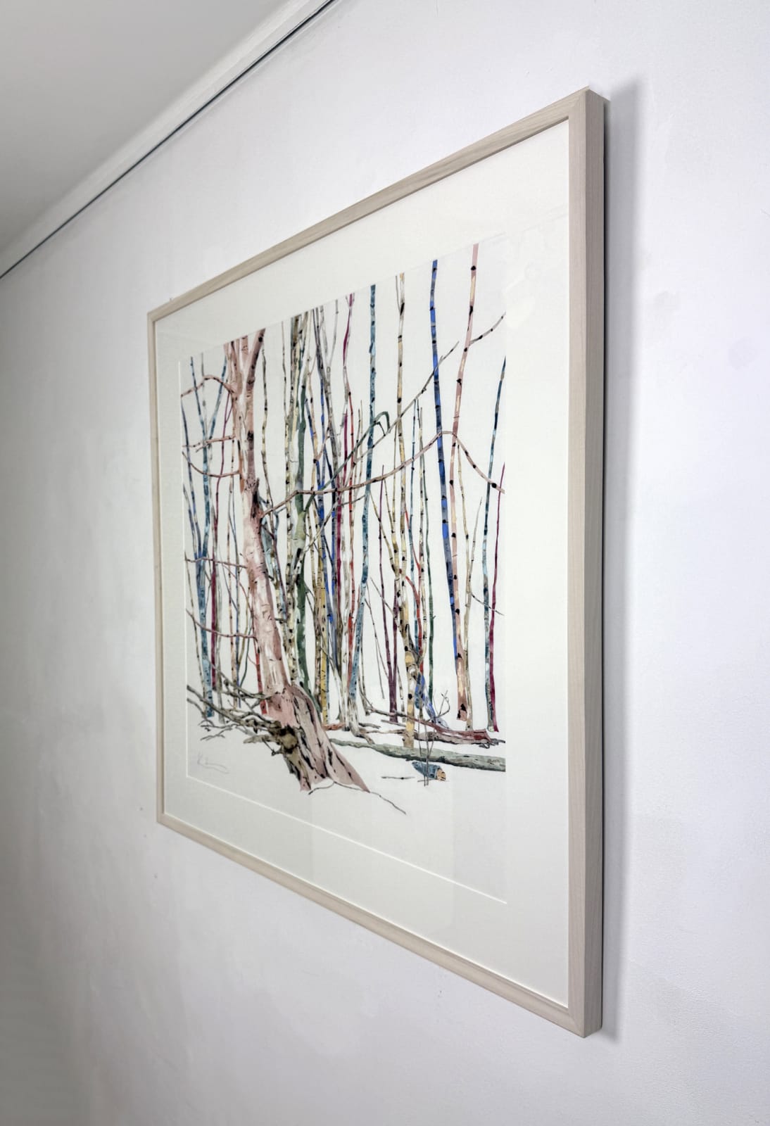 Kate Evans, Entangled