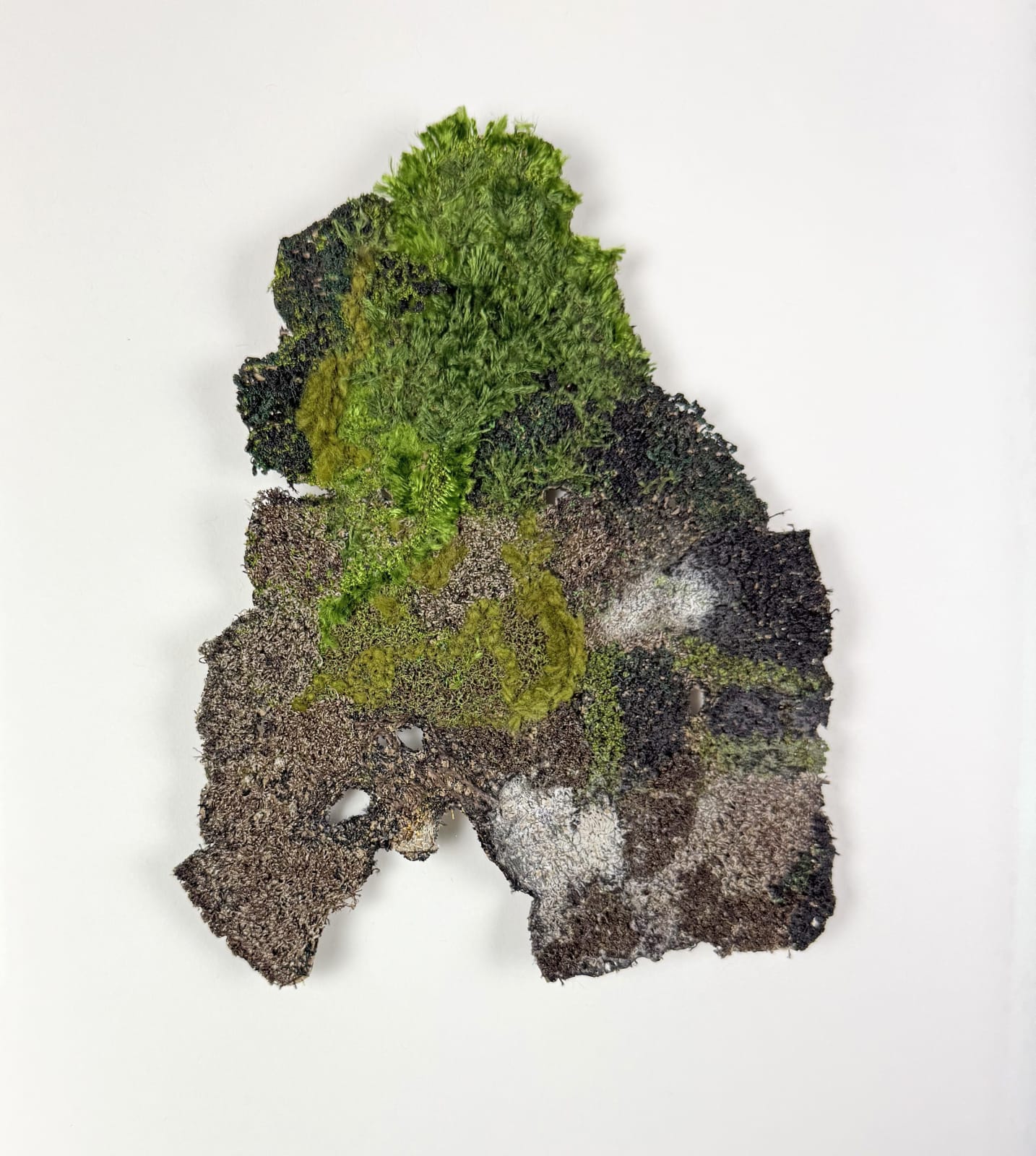 Cathy Brickhill, NZ Karaka Bark