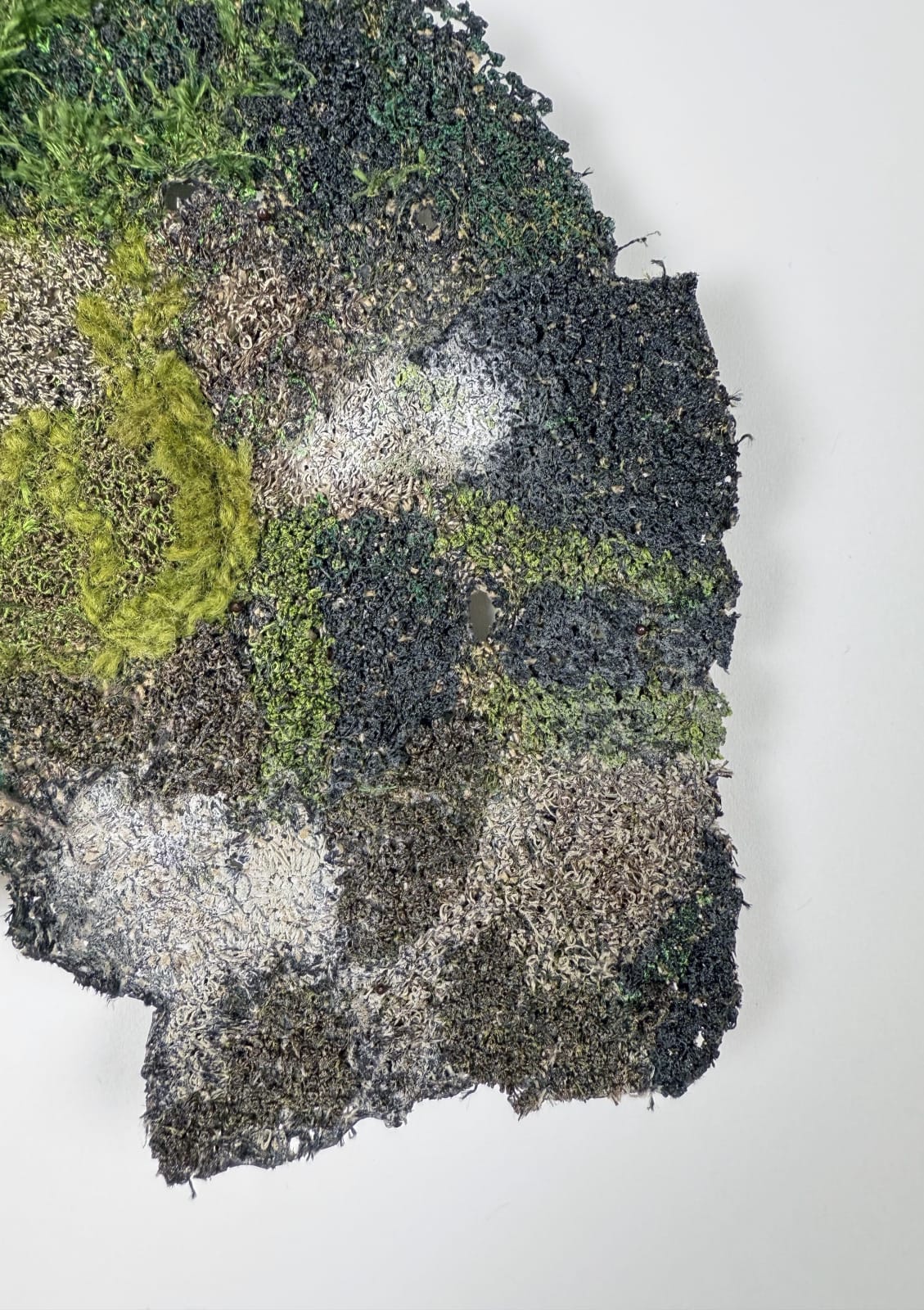Cathy Brickhill, NZ Karaka Bark
