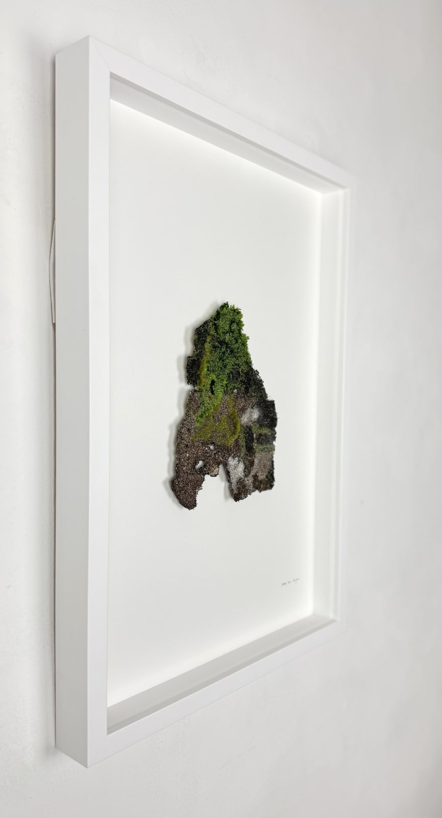 Cathy Brickhill, NZ Karaka Bark