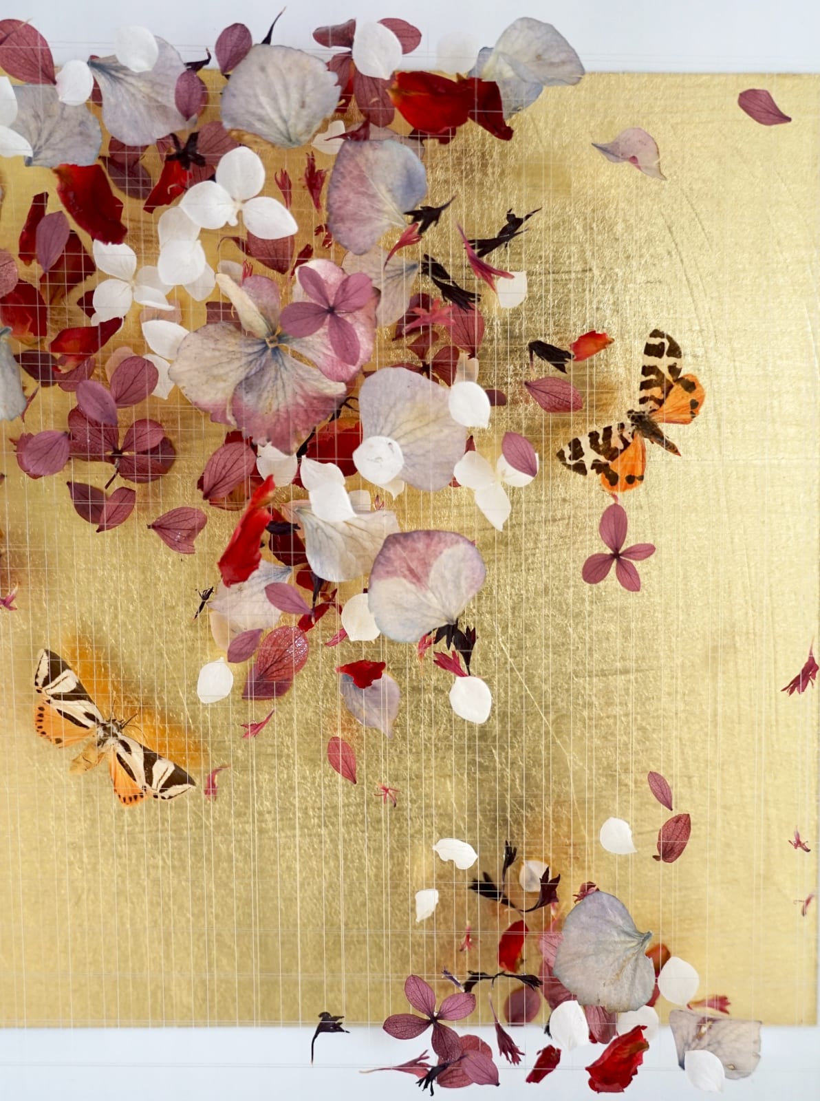 Anna Masters, Disappearing Suns 10