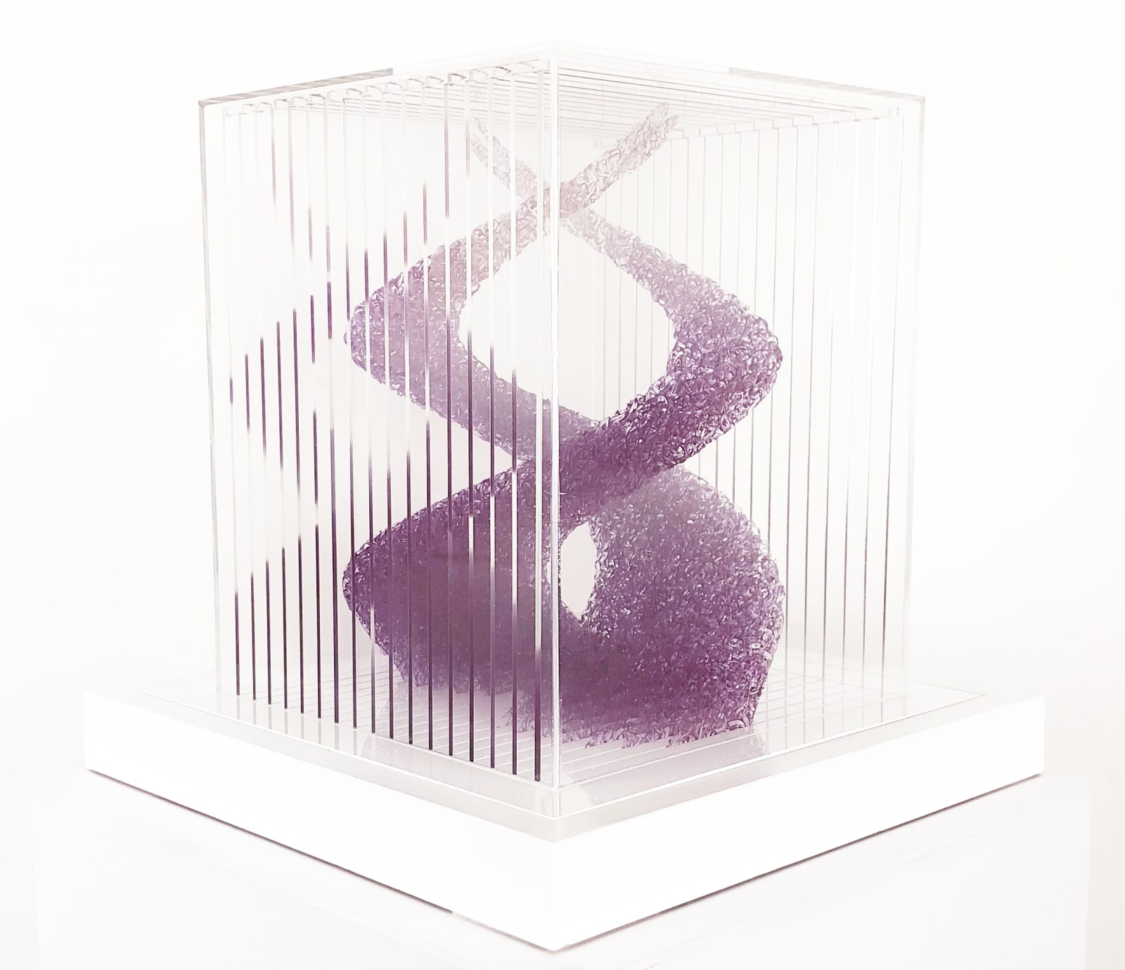 Claire Cohen, Inflorescence