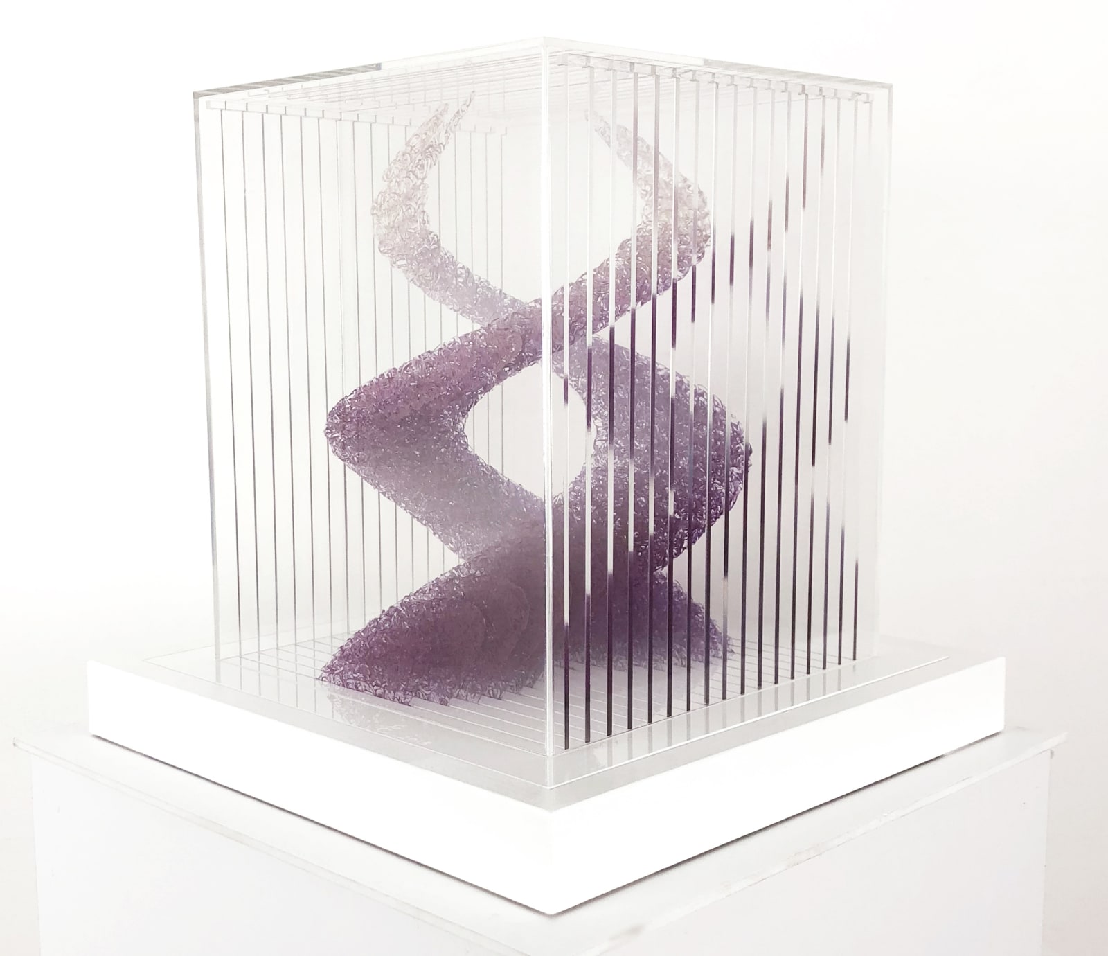 Claire Cohen, Inflorescence