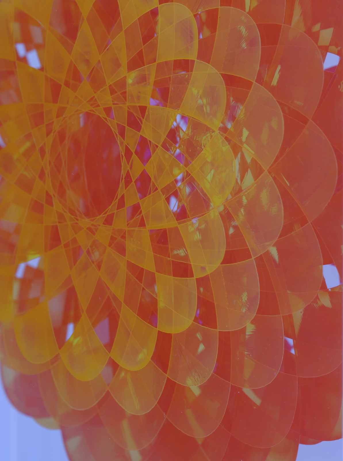 Claire Cohen, Floret