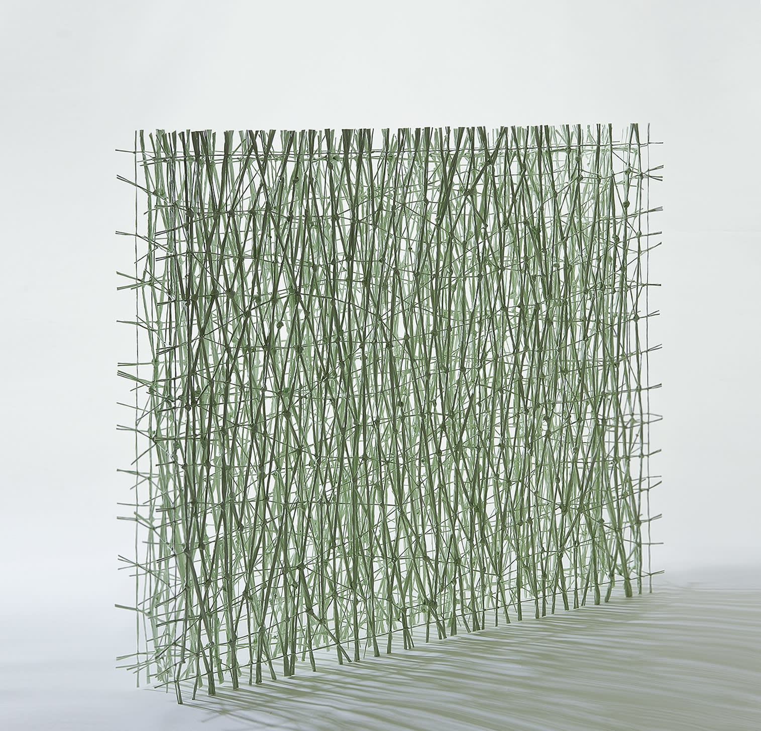 Sung Rim Park, String Composition (220823)