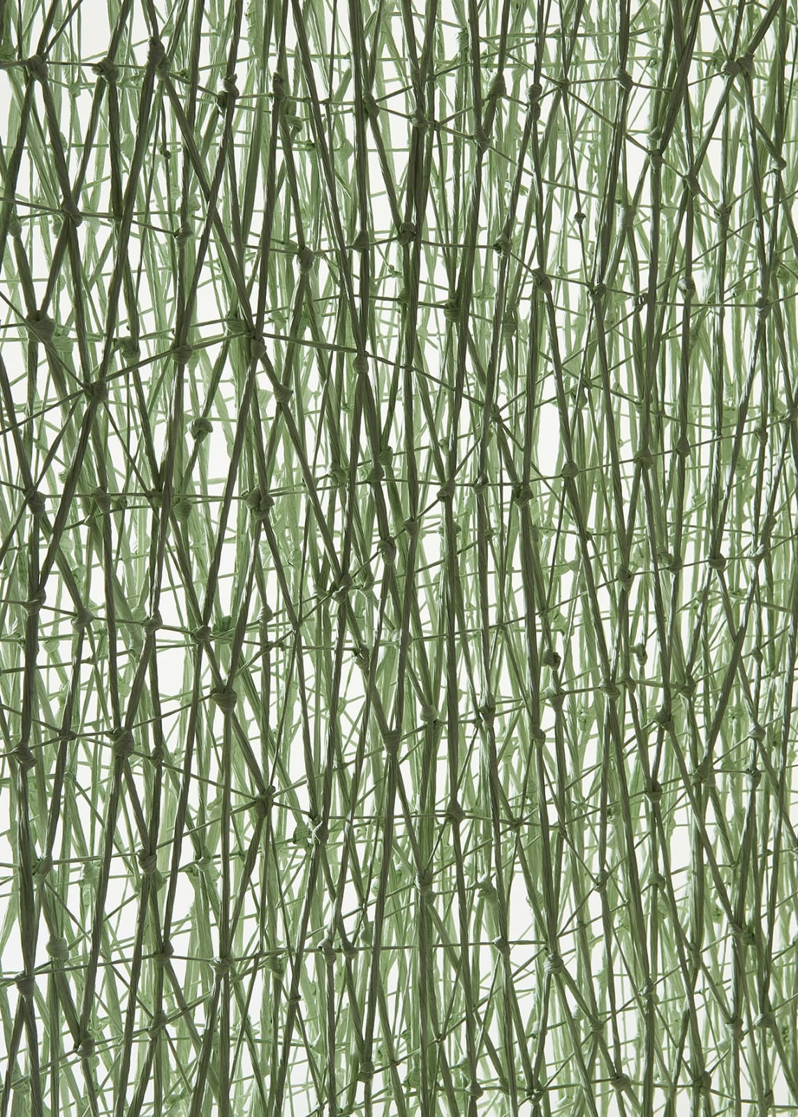 Sung Rim Park, String Composition (220823)