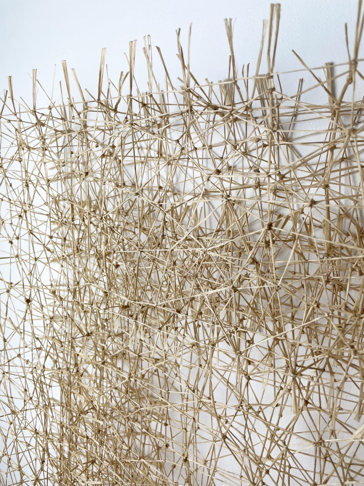 Sung Rim Park, Infinite Structure (309022)