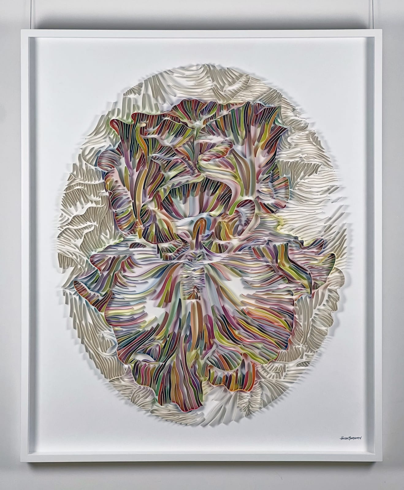 Peter Monaghan, Oval Iris