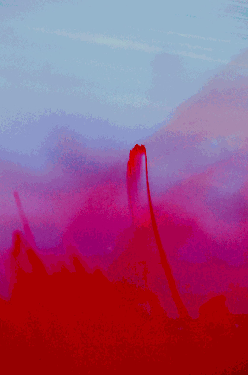 Heather Carisch, Icon