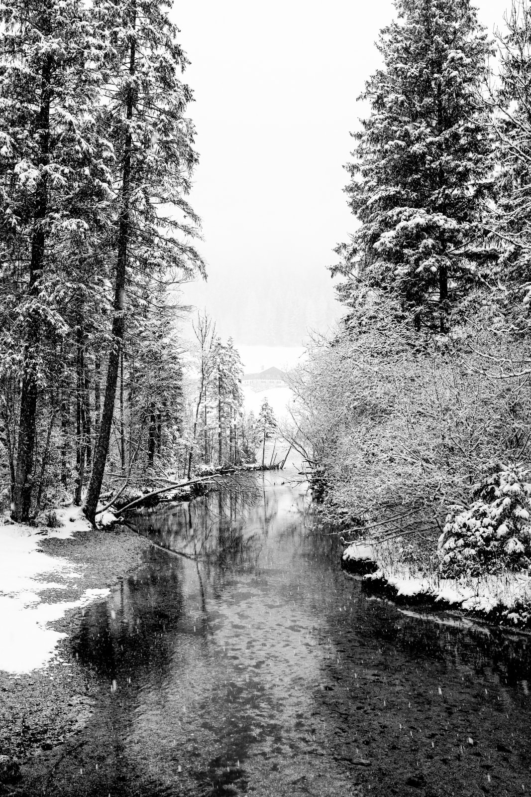 Mischa Fanghaenel, HINTERSEE I , 2015
