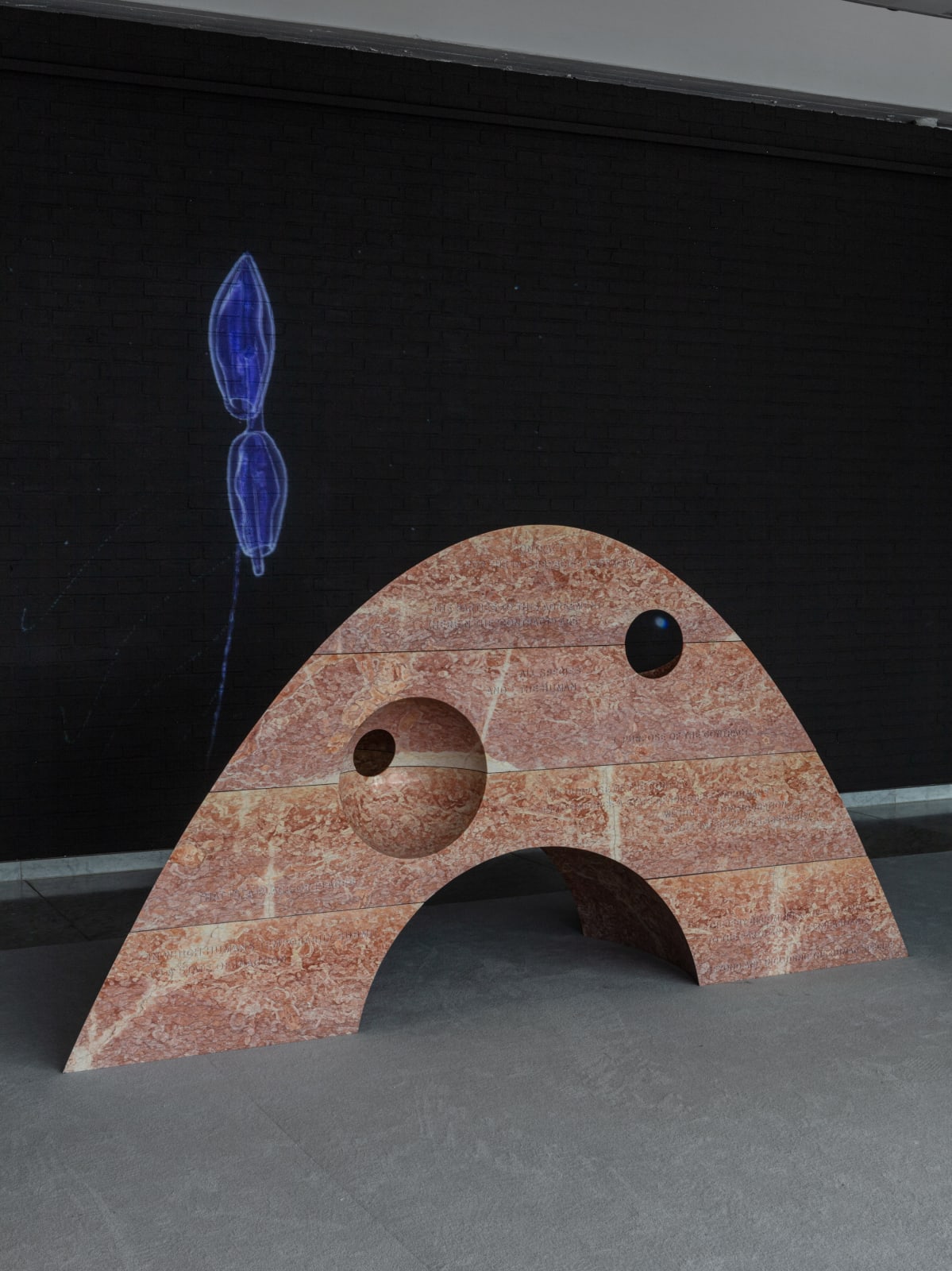 SUPERFLEX, Interspecies Assembly and Vertical Migration, Kunsten Museum of Modern Art Aalborg