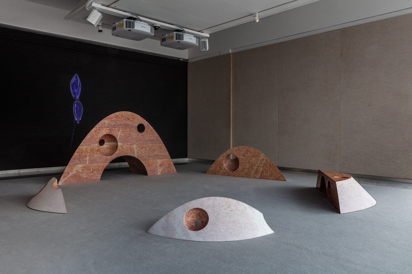 SUPERFLEX, Interspecies Assembly and Vertical Migration, Kunsten Museum of Modern Art Aalborg