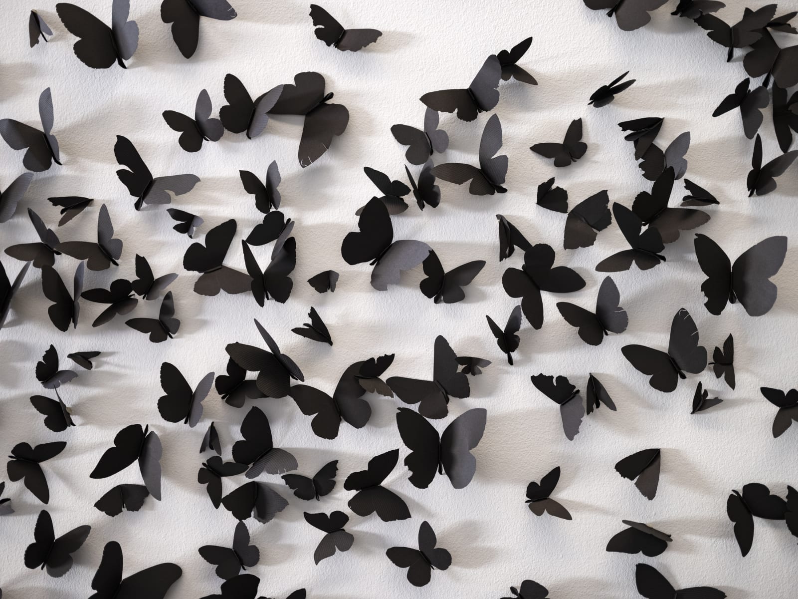 Courtesy of Phoenix Art Museum · Photo: Katie Jones-Weinert