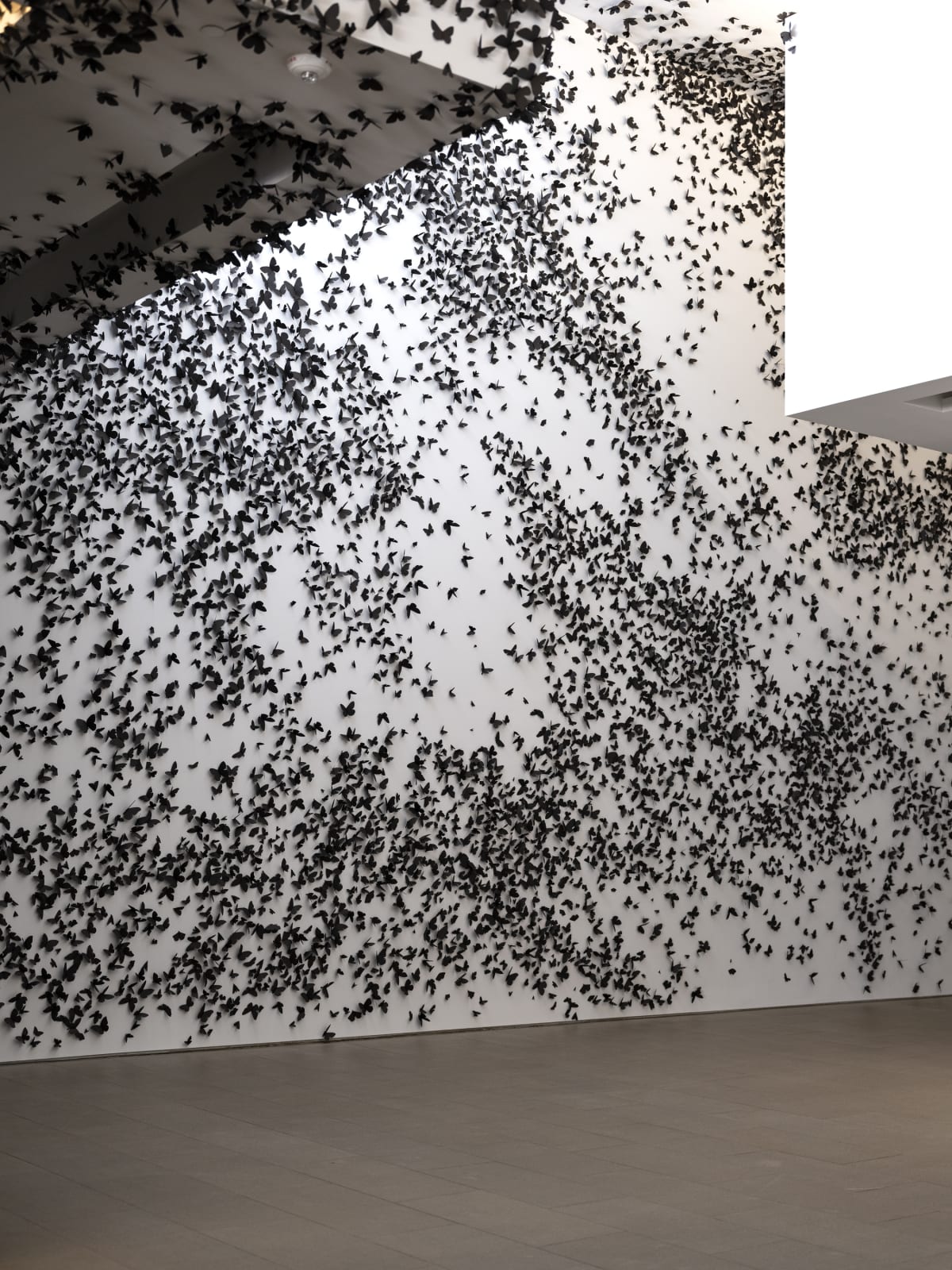 Courtesy of Phoenix Art Museum · Photo: Katie Jones-Weinert