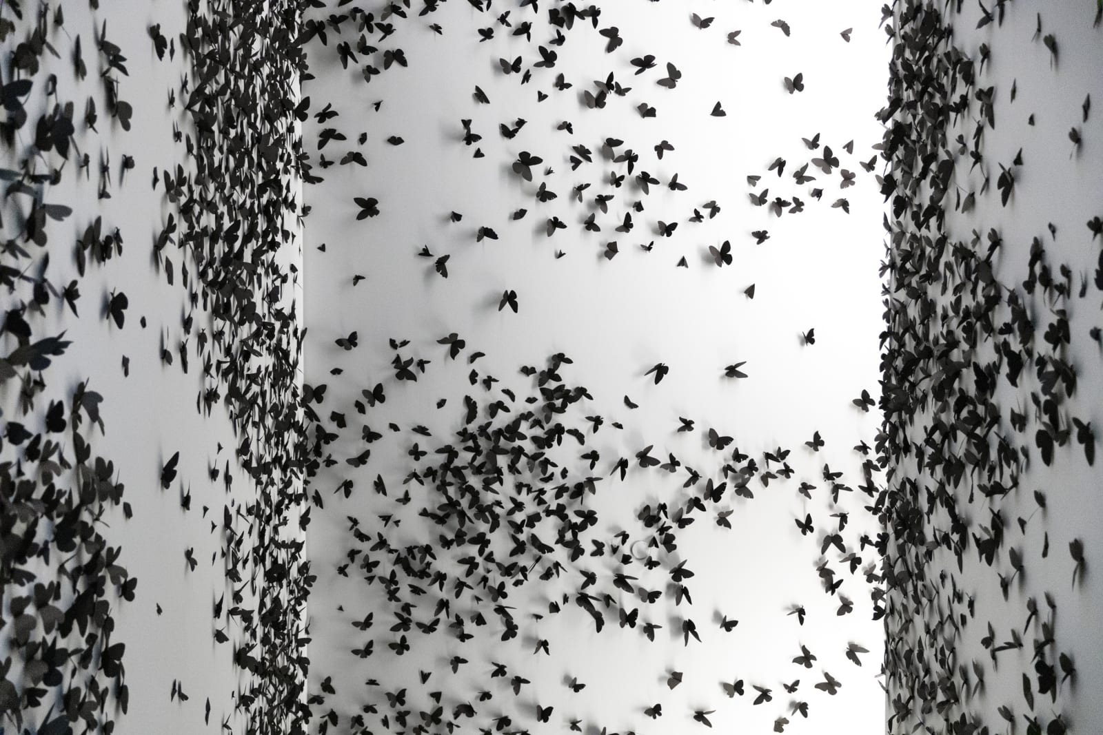 Courtesy of Phoenix Art Museum · Photo: Katie Jones-Weinert