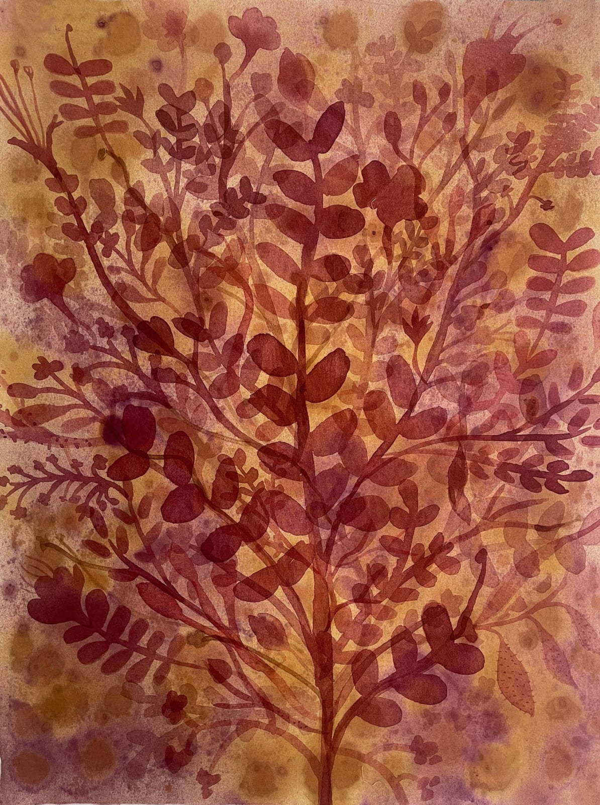 Imaginary Flora, 2023