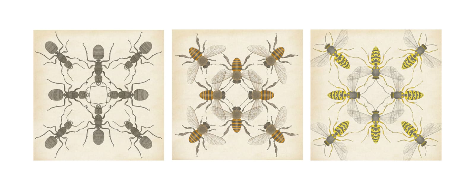 Swarm connections, Eight Ants, Eiight Bees, Eight Wasps, 2023