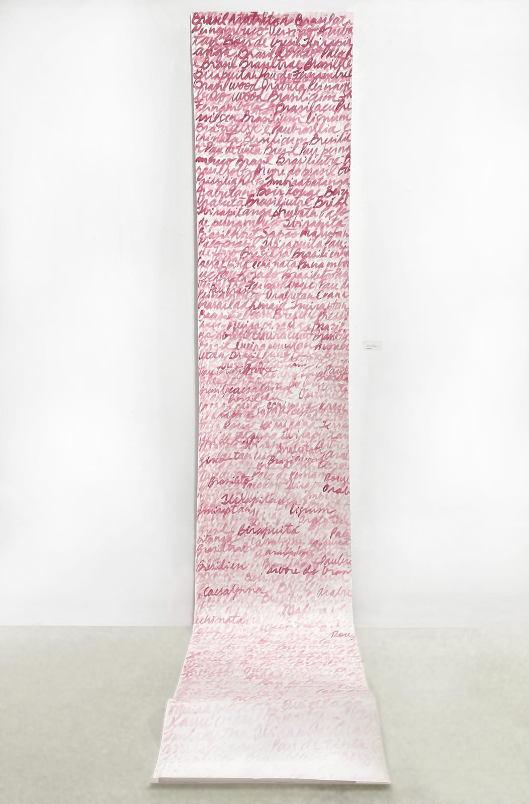 Vanishing Names, 2024