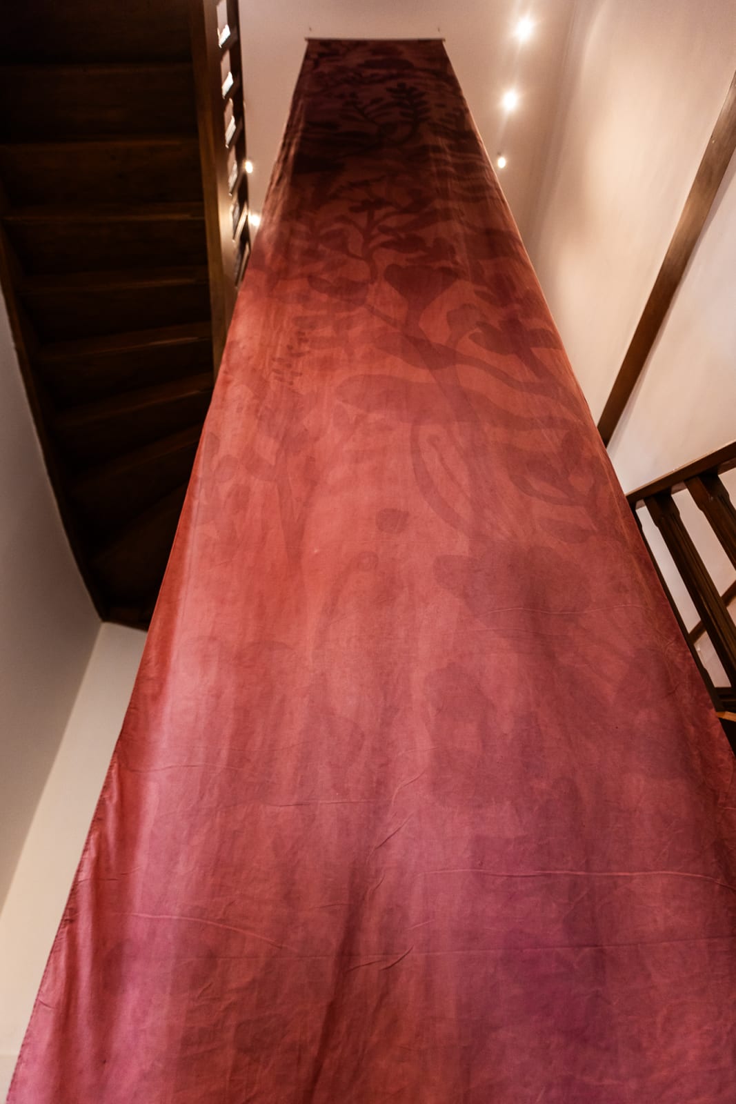 Utopia Botânica (Exhibition Hall) | Vanishing Forest / Vanishing Names (Stairs), 2025