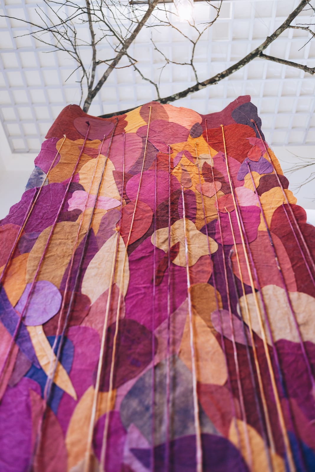 Utopia Botânica (Exhibition Hall) | Vanishing Forest / Vanishing Names (Stairs), 2025