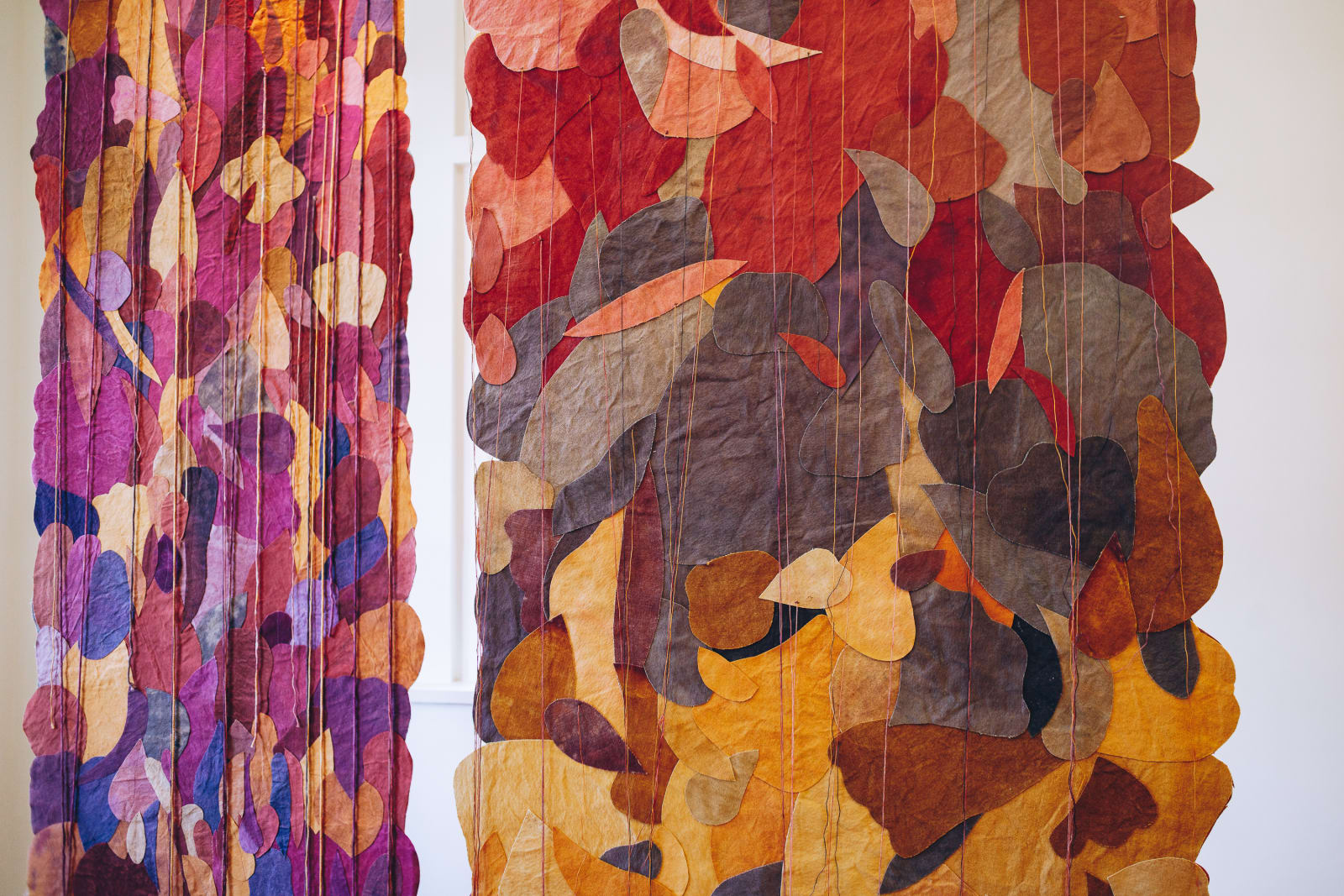 Utopia Botânica (Exhibition Hall) | Vanishing Forest / Vanishing Names (Stairs), 2025