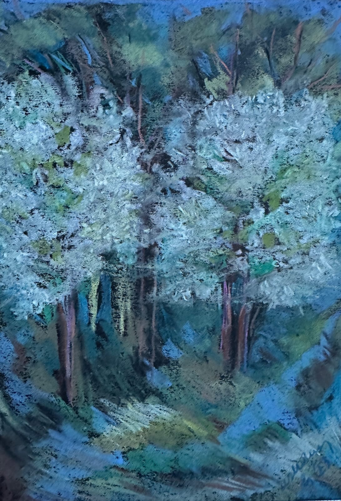 Aslı Deniz Helvacıoğlu, Untitled