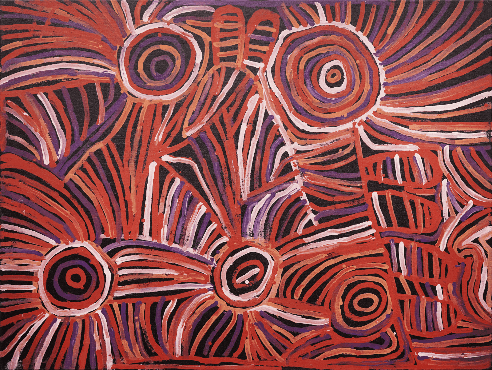 Minnie Pwerle, Awelye Atnwengerrp, 1999