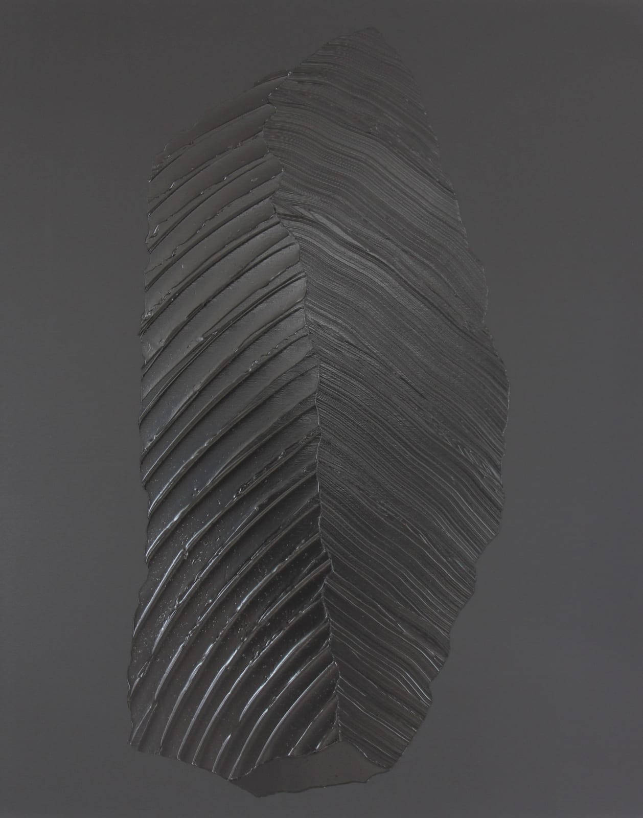 Chavannes-Renens, 2024