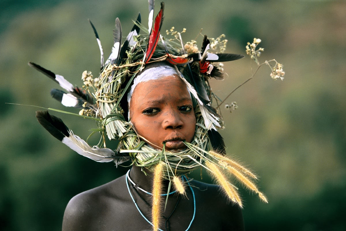 HANS SILVESTER, La beauté naturelle - 4