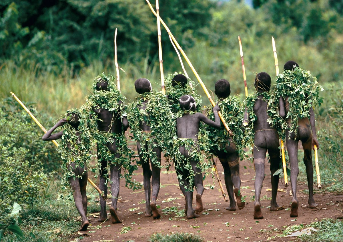 HANS SILVESTER, La beauté naturelle - 21