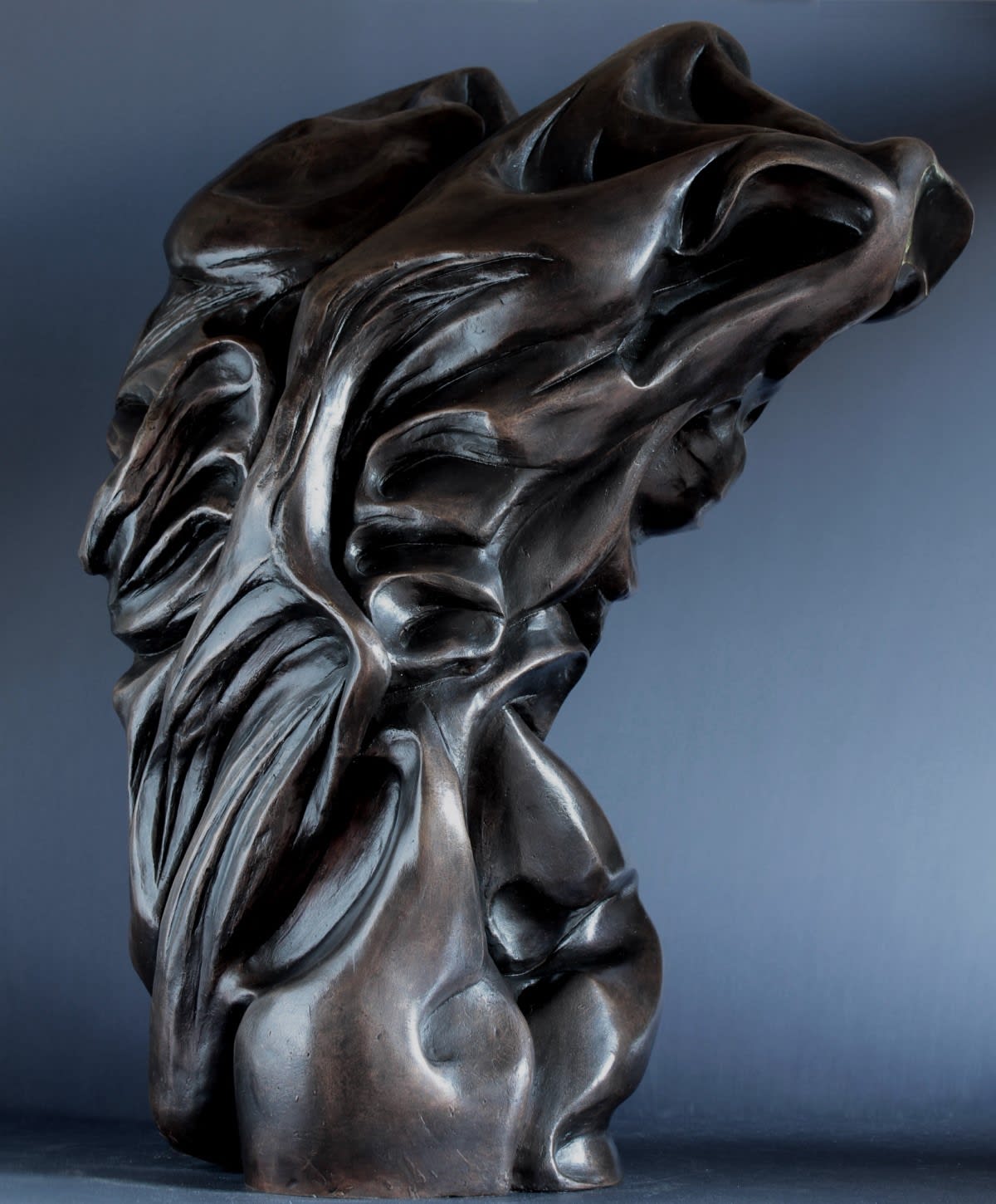 CHRISTIAN LIGNAIS, Torse N° 281