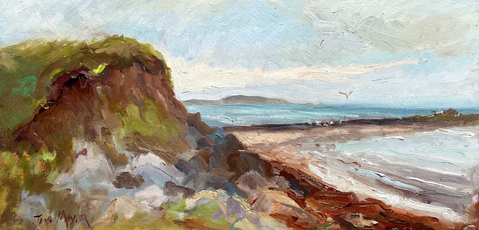 Jane Meyler, Saltee Island View, Kilmore Quay