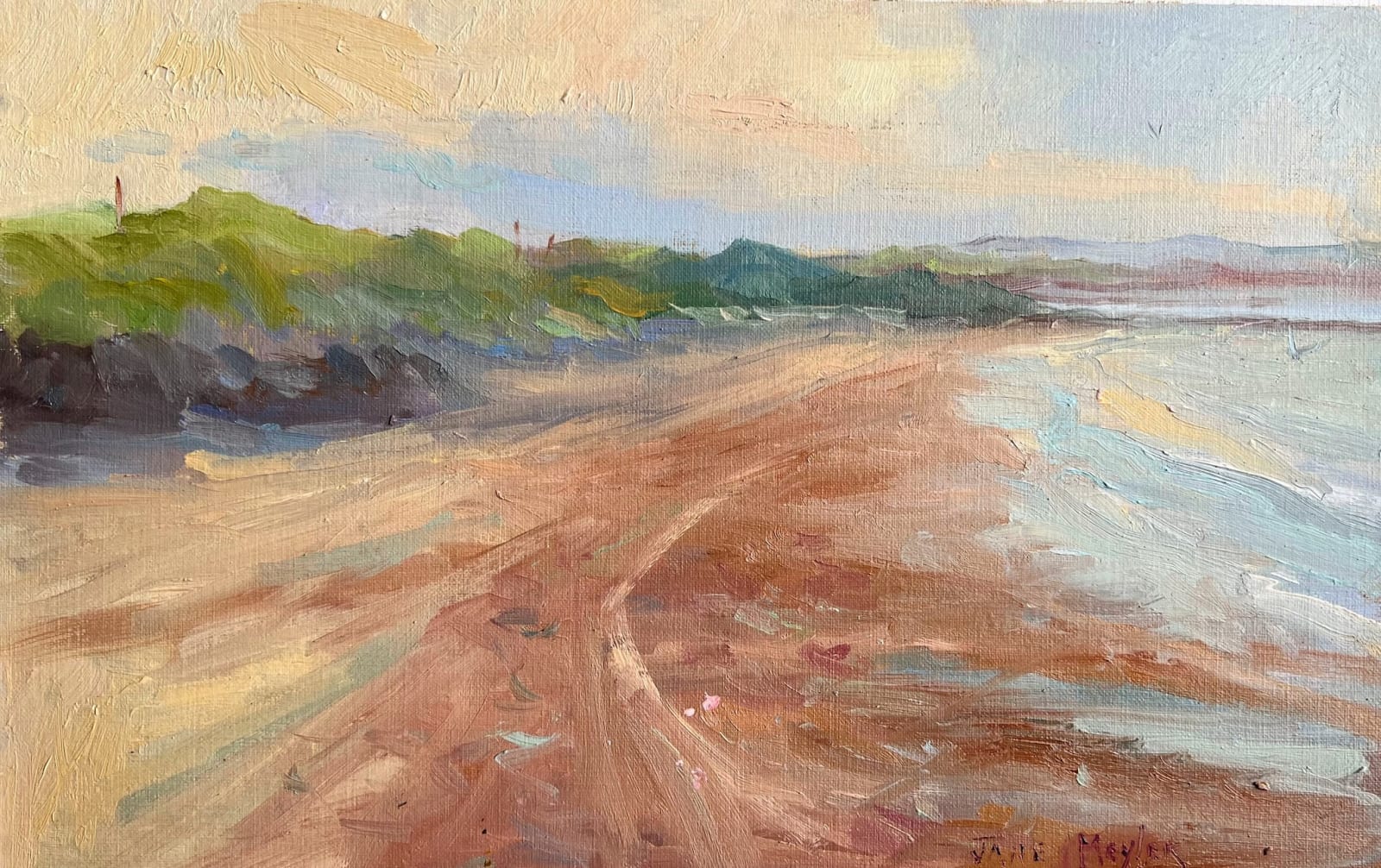 Jane Meyler, Burrow Strand Beach, Rosslare
