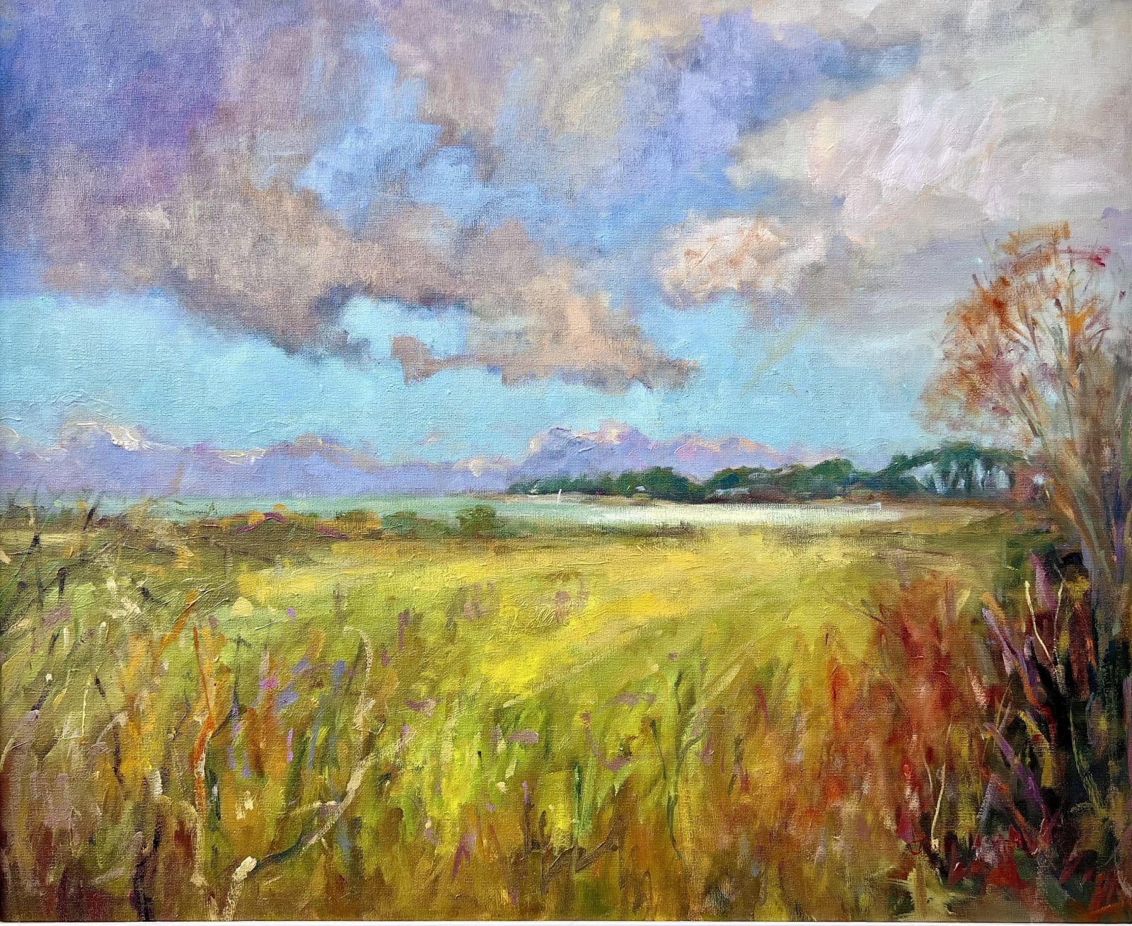 Jane Meyler, Burrow Sky, Rosslare