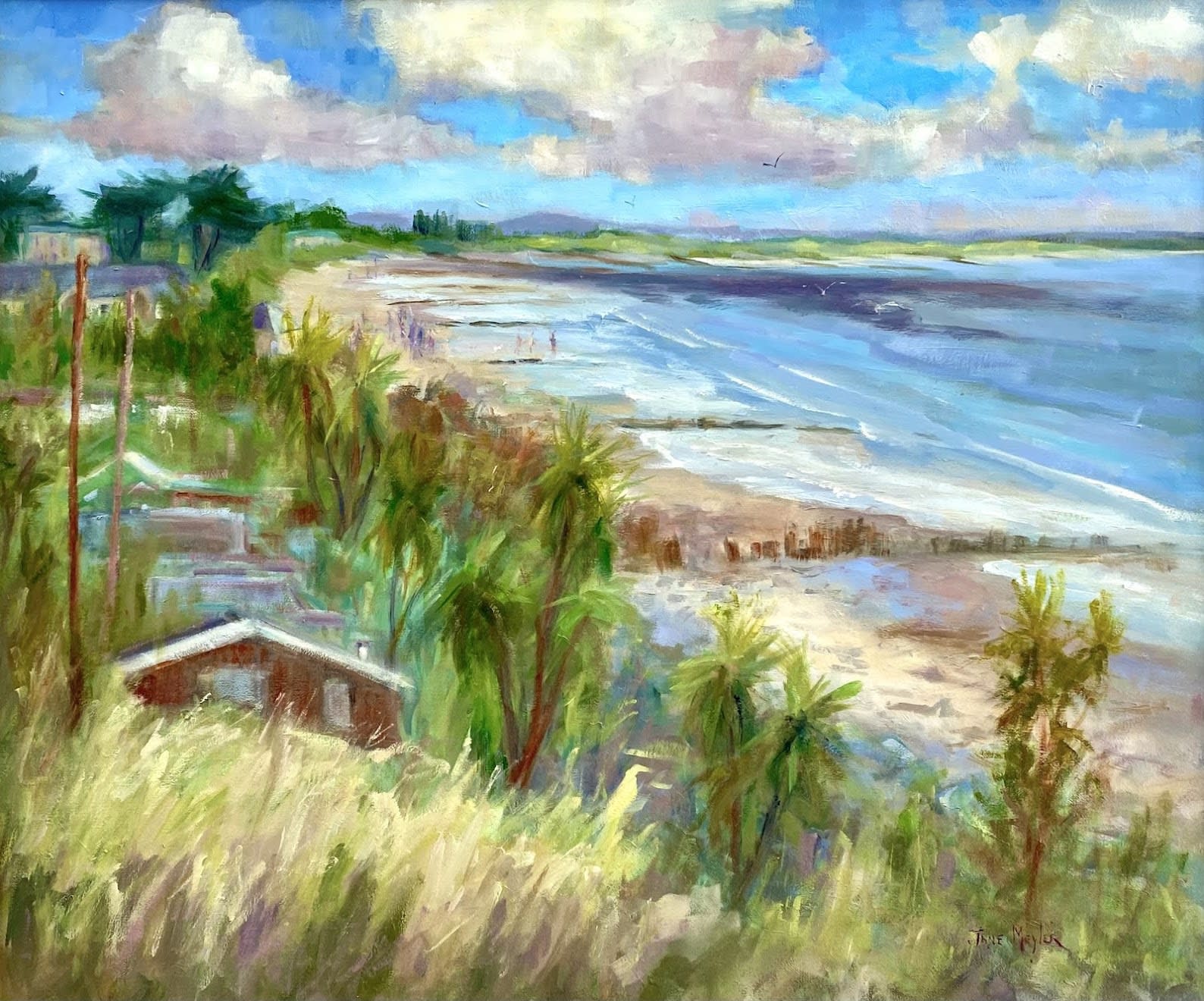 Jane Meyler, Spring Sky Rosslare