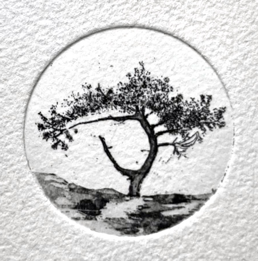 Elizabeth Boerwinkel, Lonely Tree