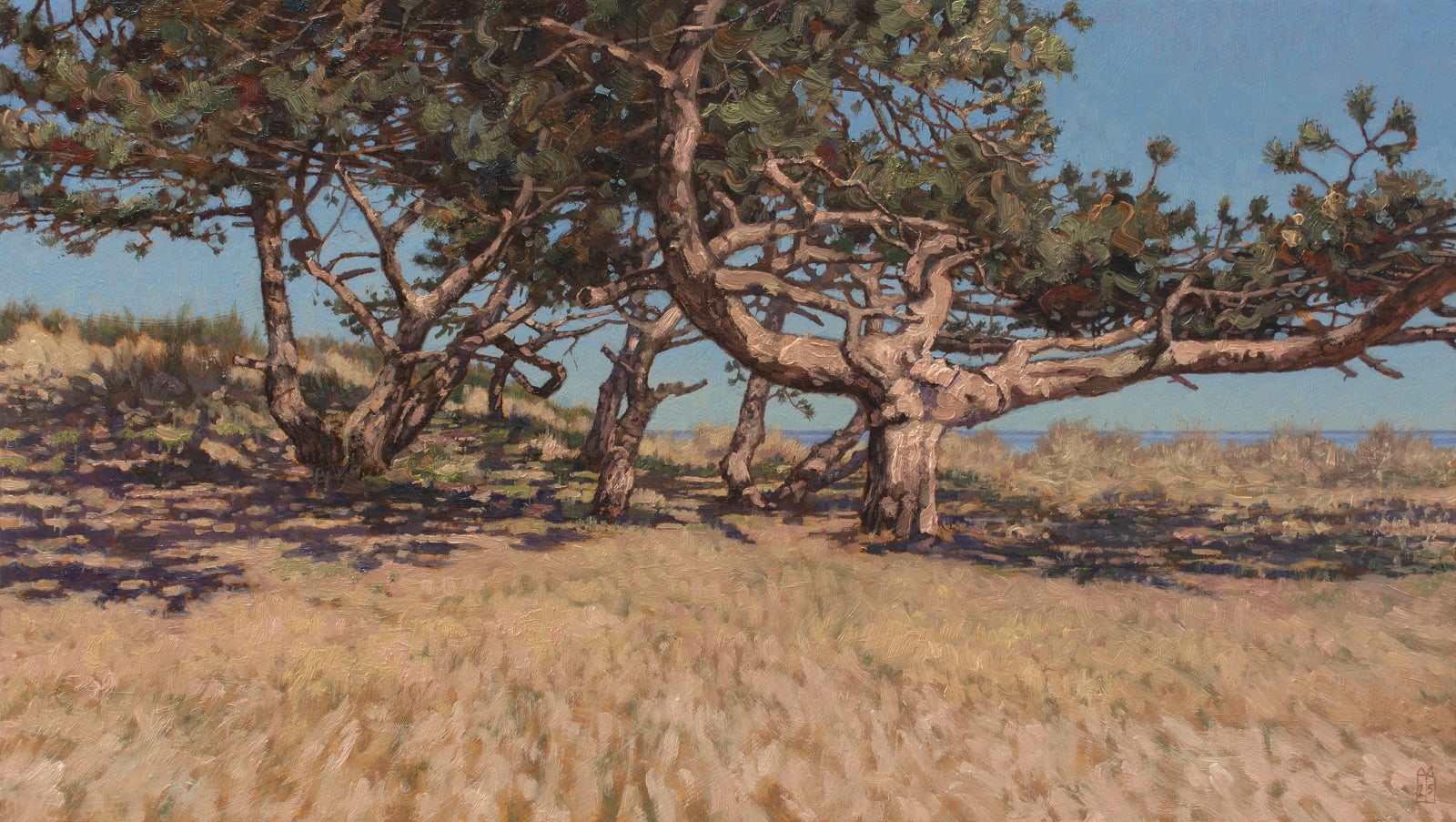 René Tweehuysen, Bomen Seinpaalduin, West-Terschelling