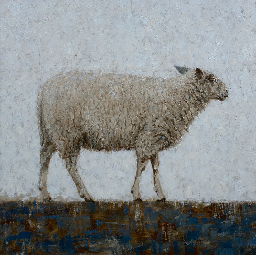 René Tweehuysen, Dijkschaap