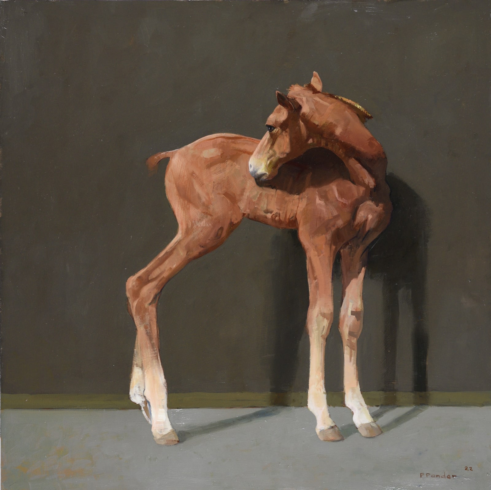 Pieter Pander, Lange benen