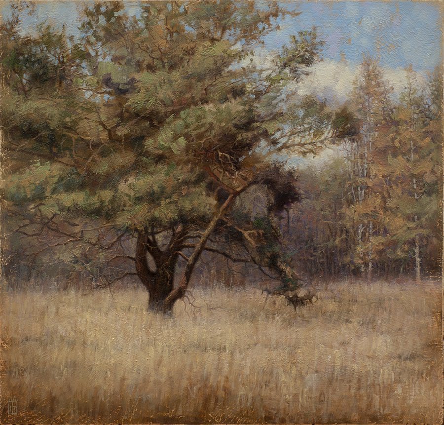 René Tweehuysen, Boom aan bosrand