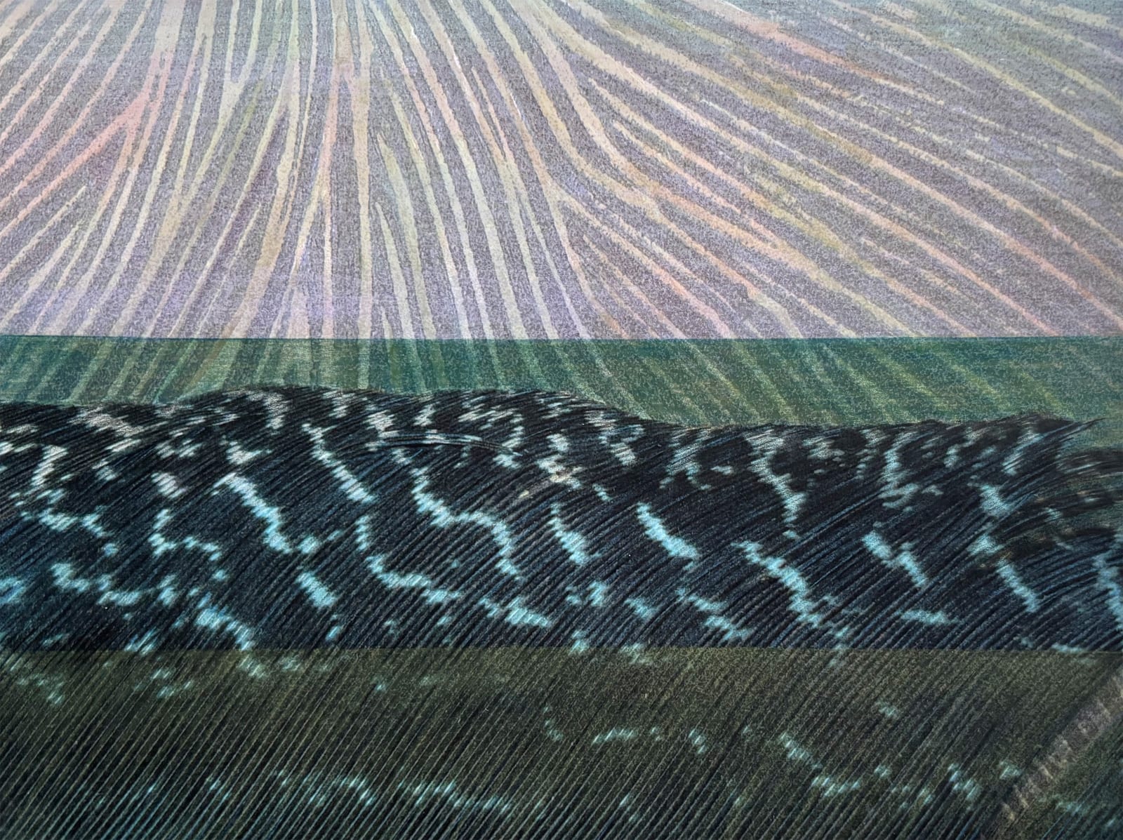 Hillegon Brunt, Landschappen