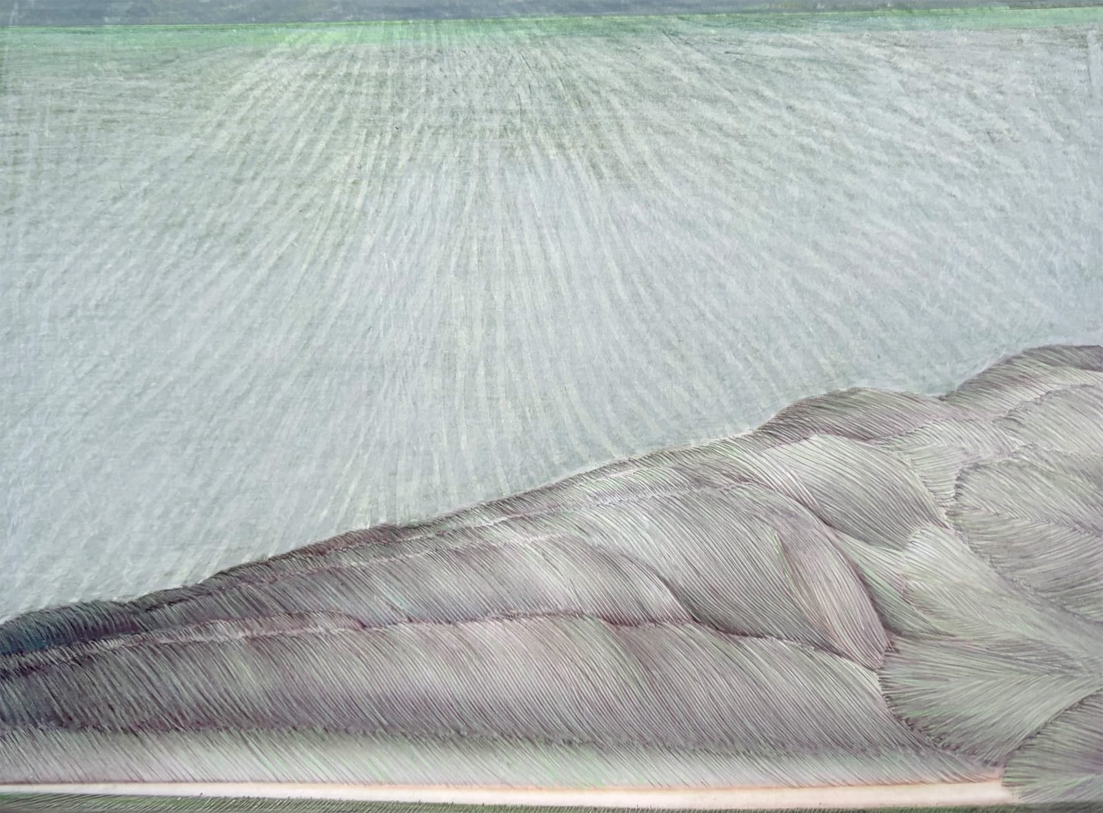 Hillegon Brunt, Landschappen